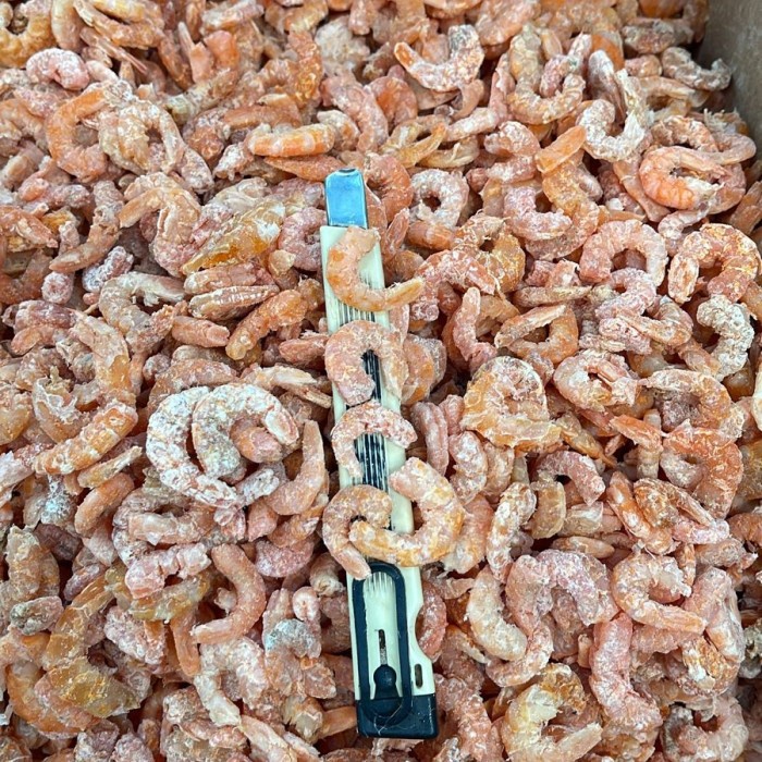 

Ikan Asin Ebi Kering Tanpa Kulit 1 Kg Bestseller Daging