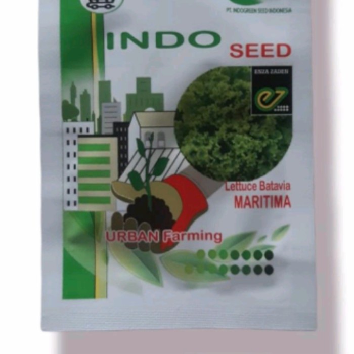 benih selada maritima 1gr