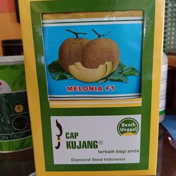 Benih Tanaman Buah Melon Melonia Plus Wangi DIsukai Pasar Cap Kujang