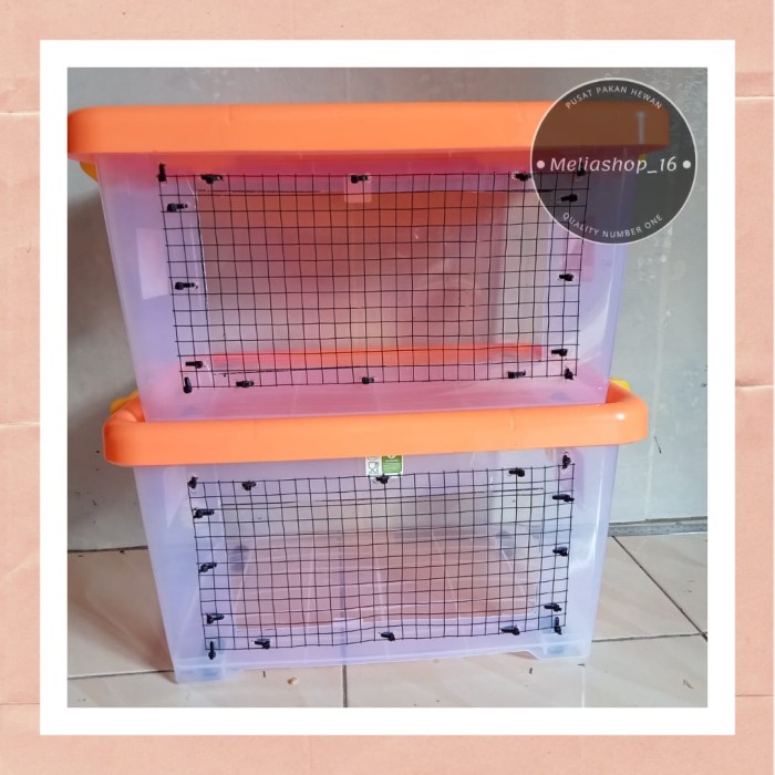 Bestseller Kandang Reptil, Hamster Box Container
