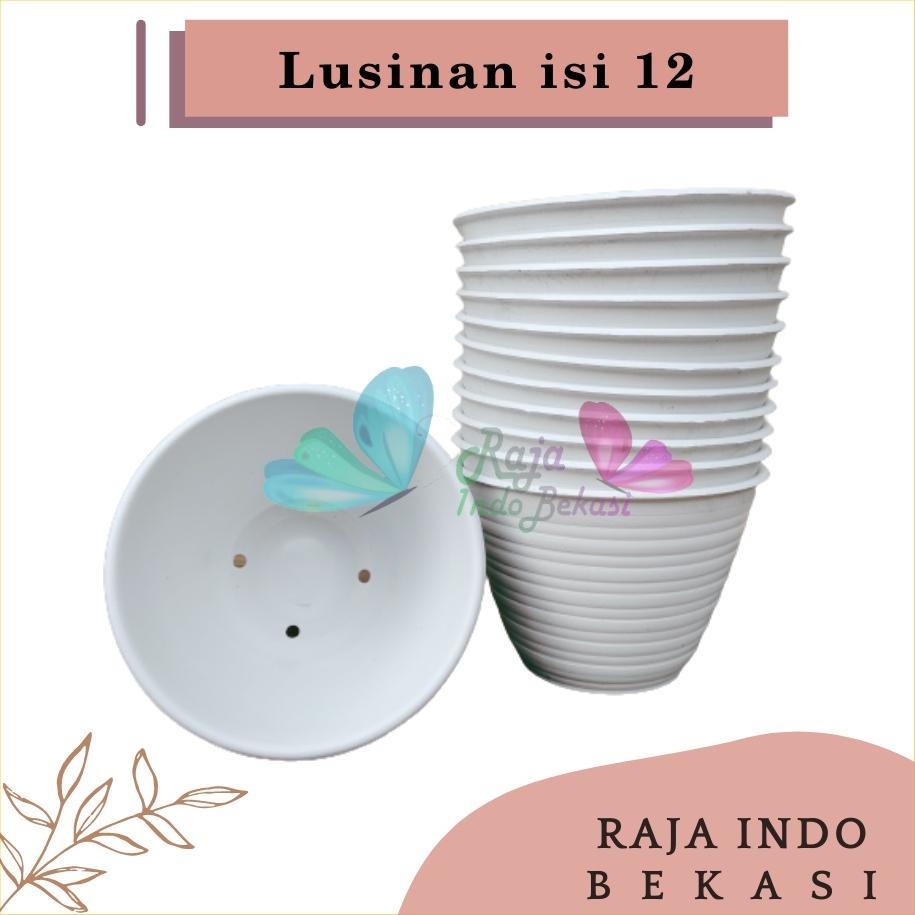 Diskon Lusinan Pot Tawon 10 Putih Pot Kecil Kaktus Gantung Hiasan Hidroponik Murah Pot Mini Minimali