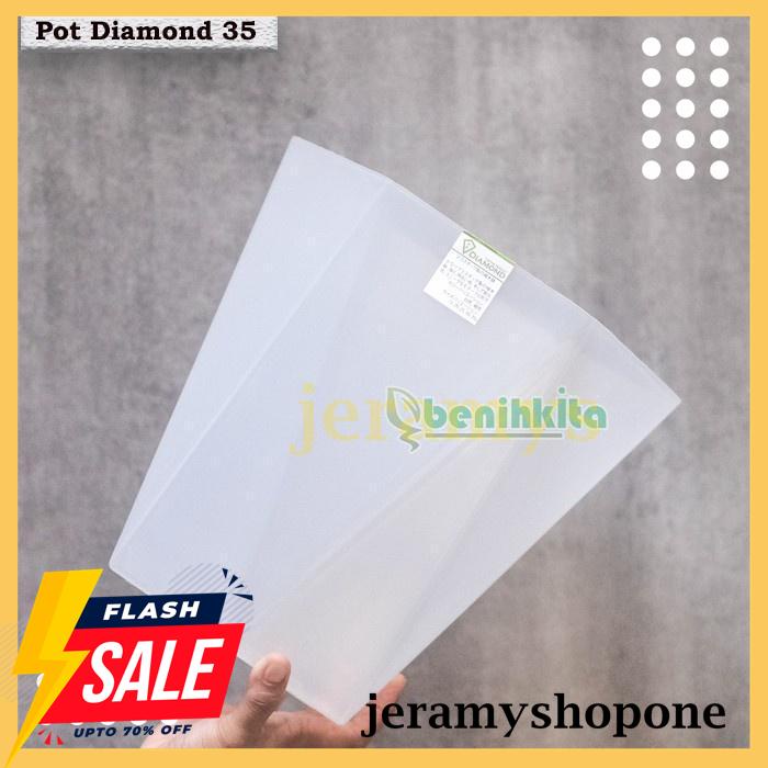 HOT SALE POT TANAMAN-BUNGA WARNA DIAMOND 35 (TABITHA) 