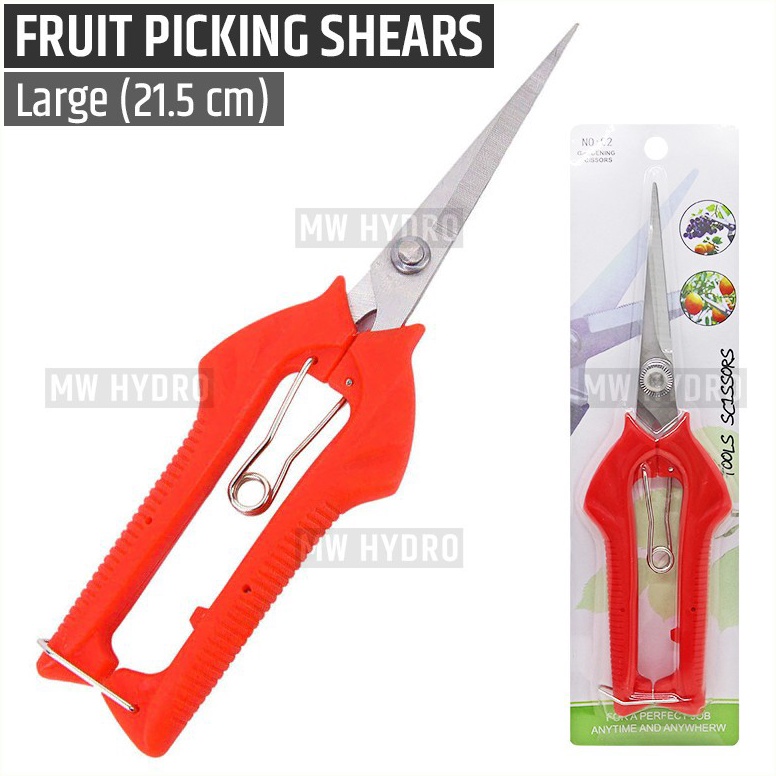 Best Product.. Gunting Buah, Bunga, Daun, Bonsai - Fruit Picking, Thinning Shears - L