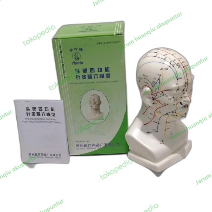 patung kepala akupuntur/acupunture/akupunktur/manekin hwato/Hwato