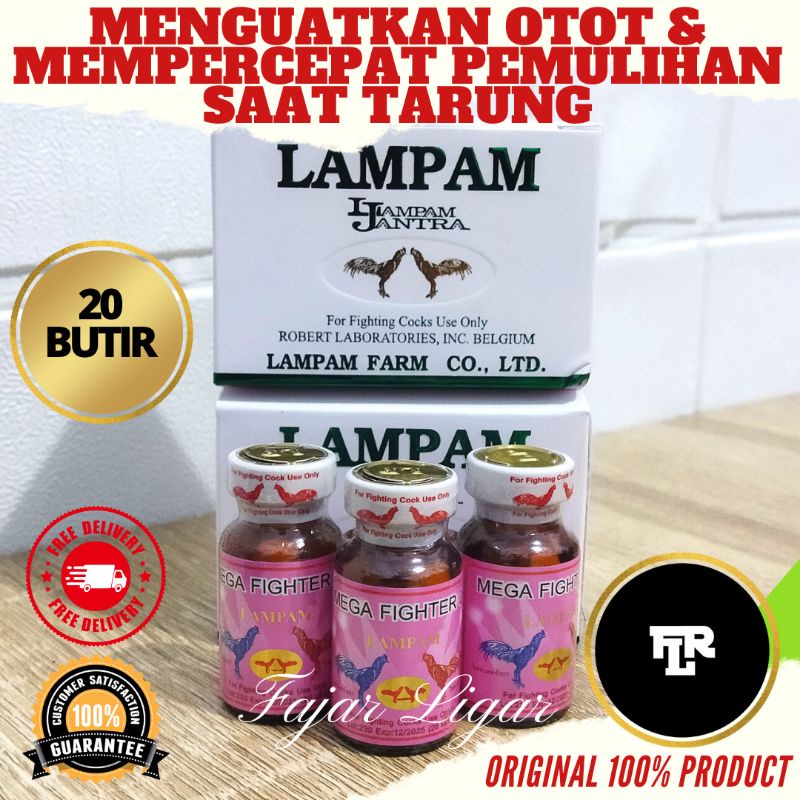 DOPING SUPLEMEN VITAMIN LAMPAM MEGA FIGHTER 007 THAILAND 20 BUTIR
