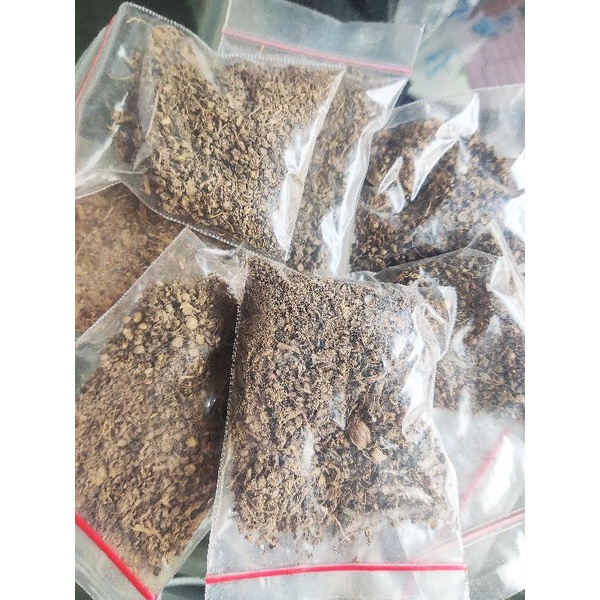 Sembur Karo untuk Dewasa