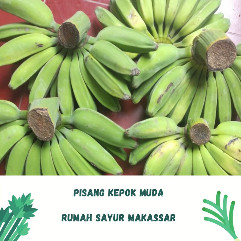 

pisang kepok muda