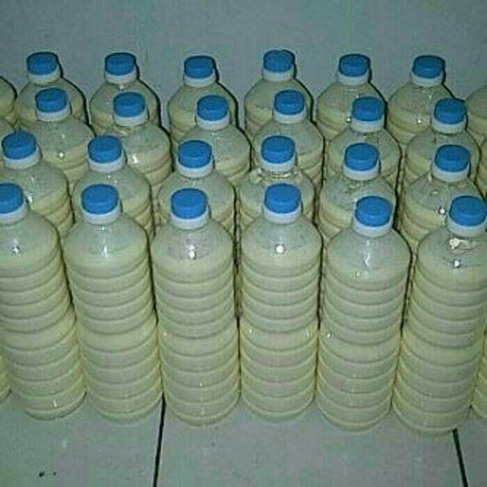 

KEFIR SUSU KAMBING ORGANIK