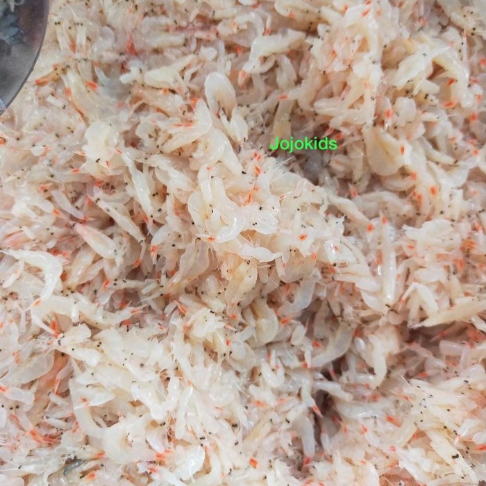 

FERMENTED SHRIMP SAEUJEOT / BUMBU KIMCHI KOREA / SALTED SEUJOT