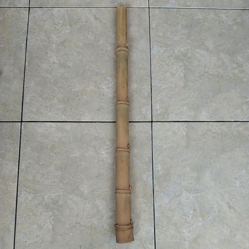 TONGKAT BAMBU UNIK BUNTET TUMPANGSARI 5 SAP, 76 cm (SANGAT LANGKA)
