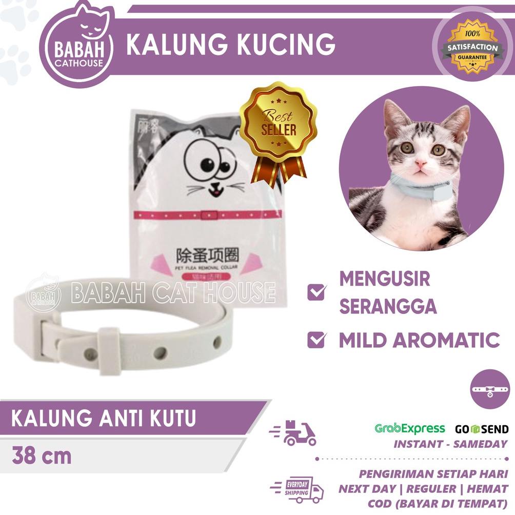 KALUNG PUTIH ANTI KUTU Kucing Anjing Murah Lucu Untuk Kitten Aksesoris Bagus Keren Import Dan Nyamuk