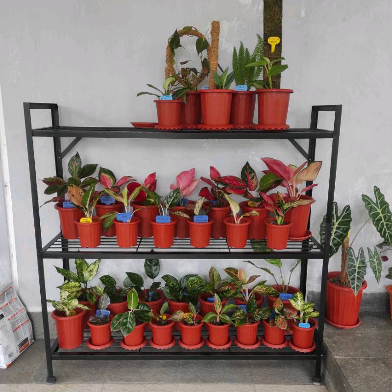 1 Meter 3 Susun Besi Siku/Rak Sepatu 3 Susun/Rak Bunga 3 Susun/Standing Pot Besi/Rak Bunga /Rak