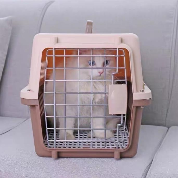 KANDANG KUCING / PET CARGO/ PET CARRIER / KANDANG KELINCI / KANDANG