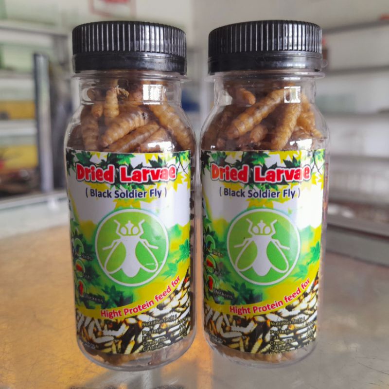 Makanan ikan predator magot kering botol premium pakan ikan chana