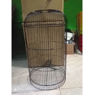RAM JERUJI UNTUK SANGKAR LOVEBIRD