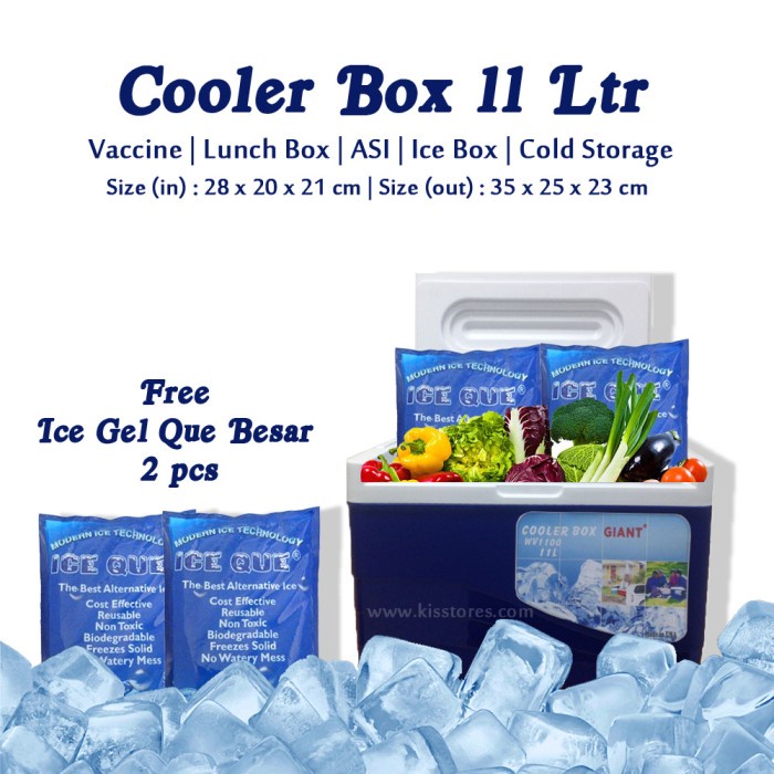 Vaccine Carrier 5 L + Thermometer Digital / Cooler Box