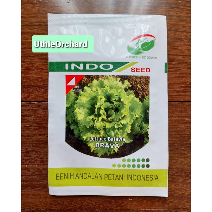 Benih Indo Seed - Selada Batavia Brava Kemasan Asli 5 gr