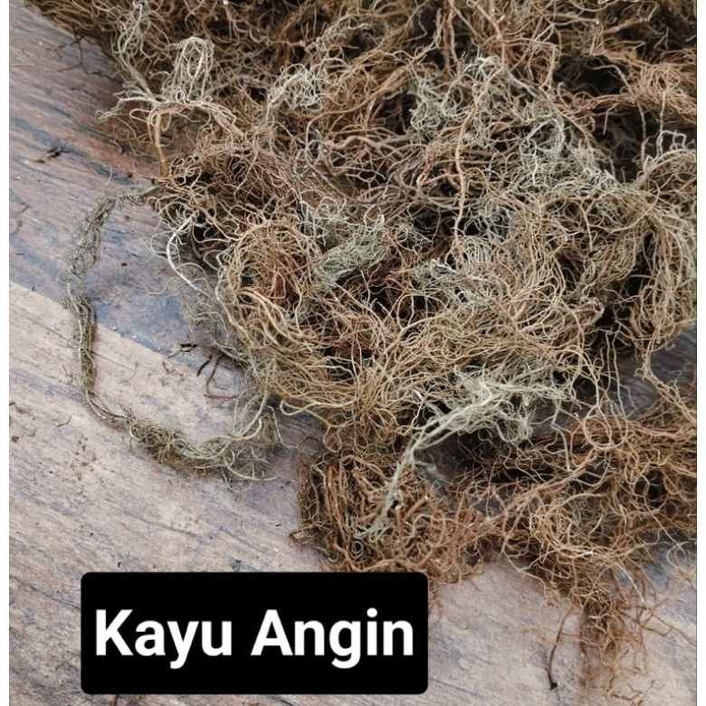 

Kayu Angin