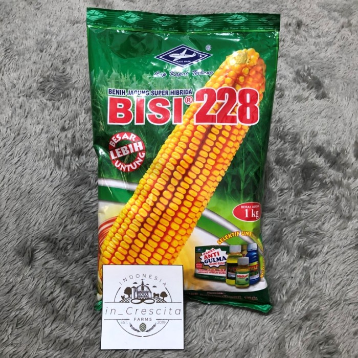 BENIH/BIBIT JAGUNG SUPER HIBRIDA BISI 228 CAP KAPAL TERBANG 1 KG