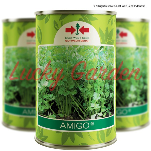 Benih Bibit Seledri AMIGO @ 50 Gr - Cap Panah Merah