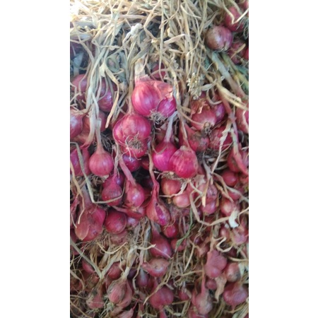 

BAWANG MERAH BUMBU MASAK