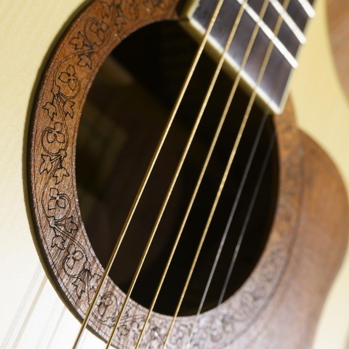 Gitar Akustik Jgs Guitar Tr 01 Na