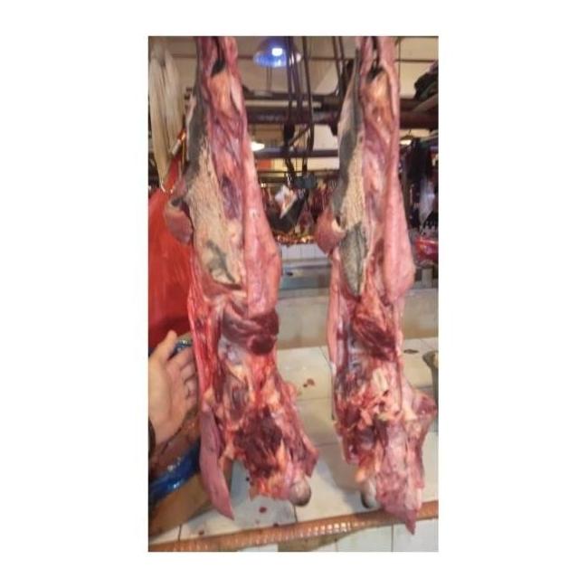 

Top Quality Daging Kepala Sapi - Beef Cheek Meat New Bronisshop