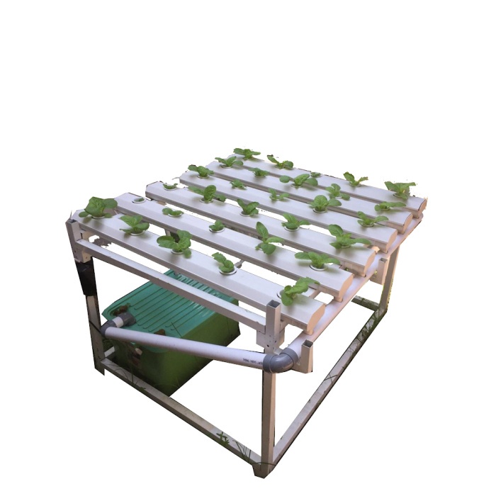 Instalasi hidroponik NFT model gully trapesium