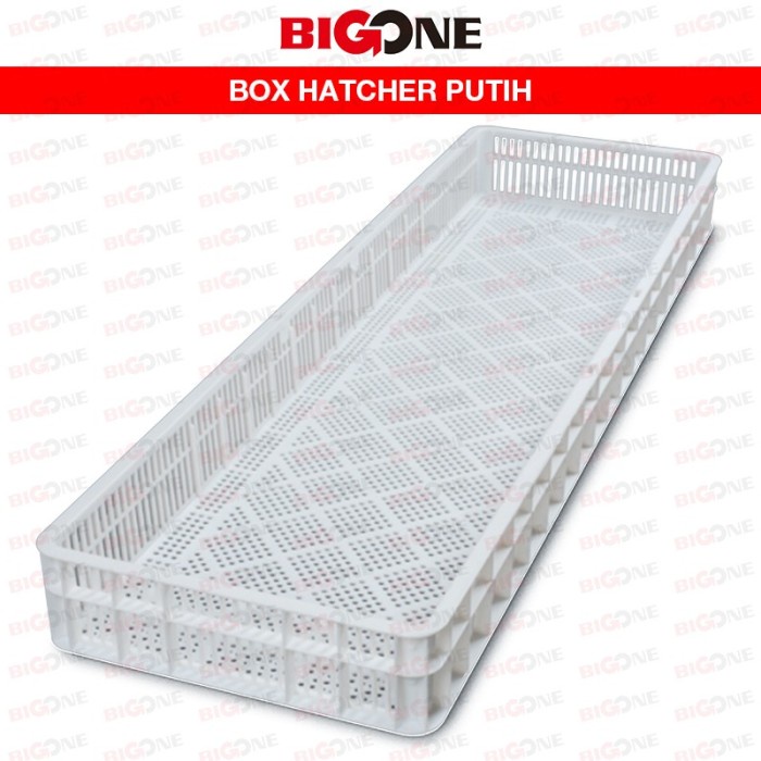 Terlaris Box Hatcher Tempat Menyimpanan Egg Tray Untuk Kandang Anak Ayam