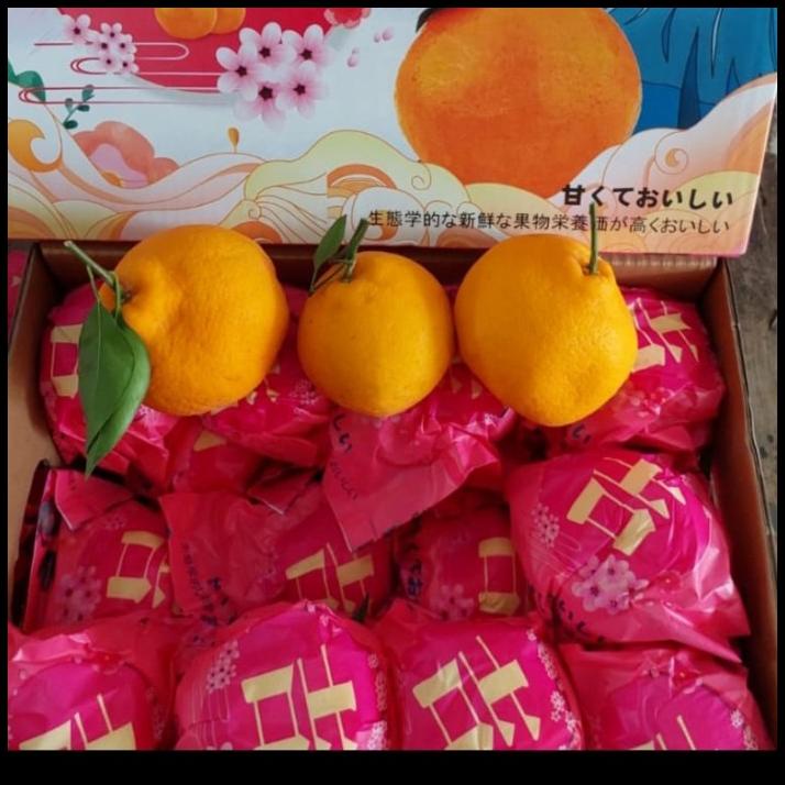 

GRATIS ONGKIR BUAH JERUK DEKOPON MANIS NO BIJI/ JERUK FRESH/ HAMPERS