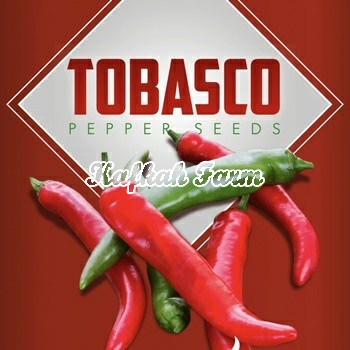 Benih 5 Biji PEPPER Tabasco