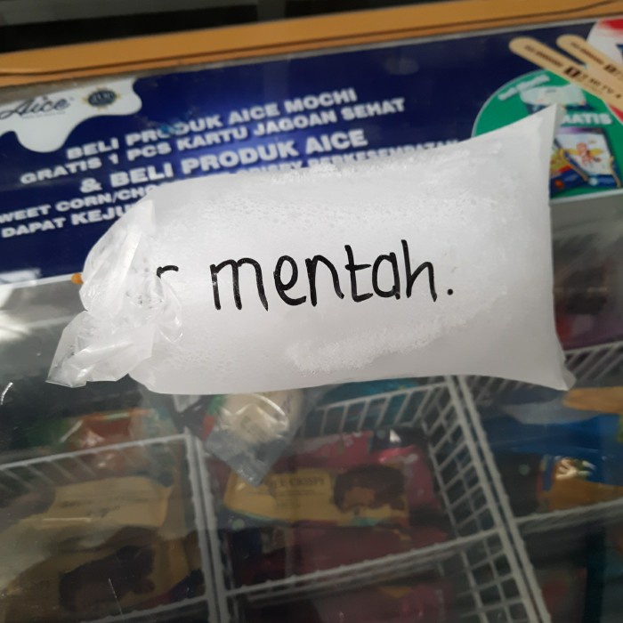 

Tambahan Es Batu Air Mentah Untuk Pembelian Es Krim Kurir Instan 1 Bua