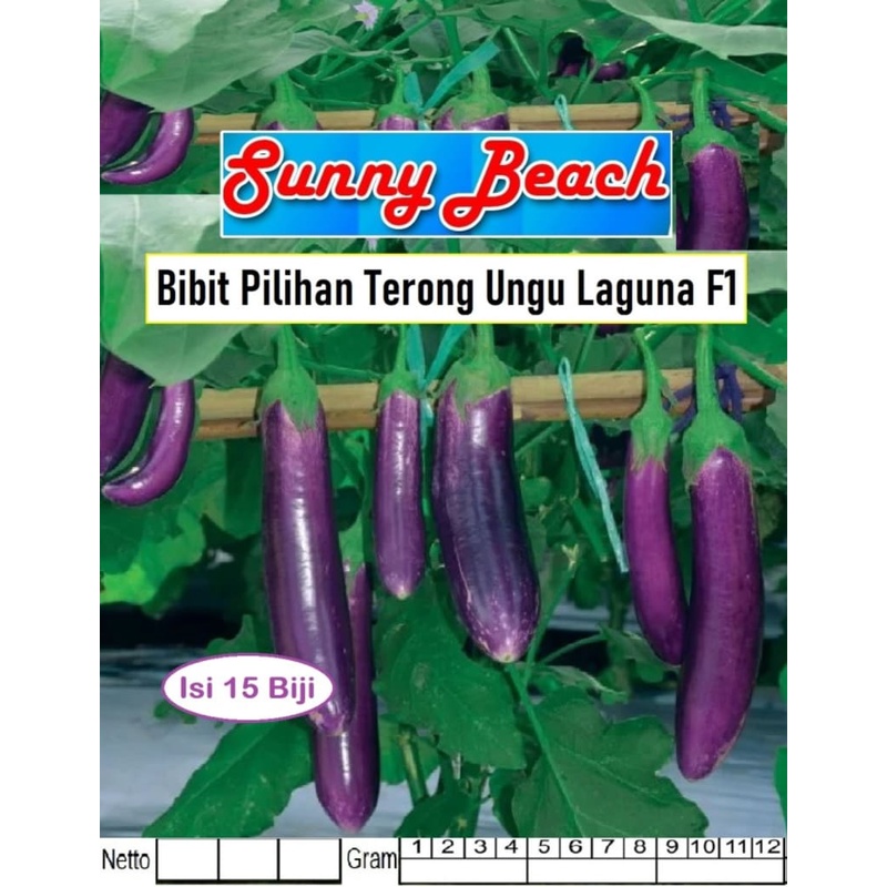 Bibit Pilihan Terong Ungu Laguna F1|Benih Terong Laguna Ungu Panjang