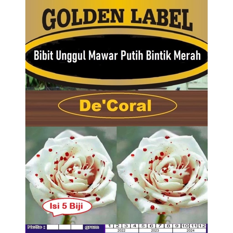 Bibit Unggul Bunga Mawar Putih Bintik Merah|Benih Mawar Putih Merah