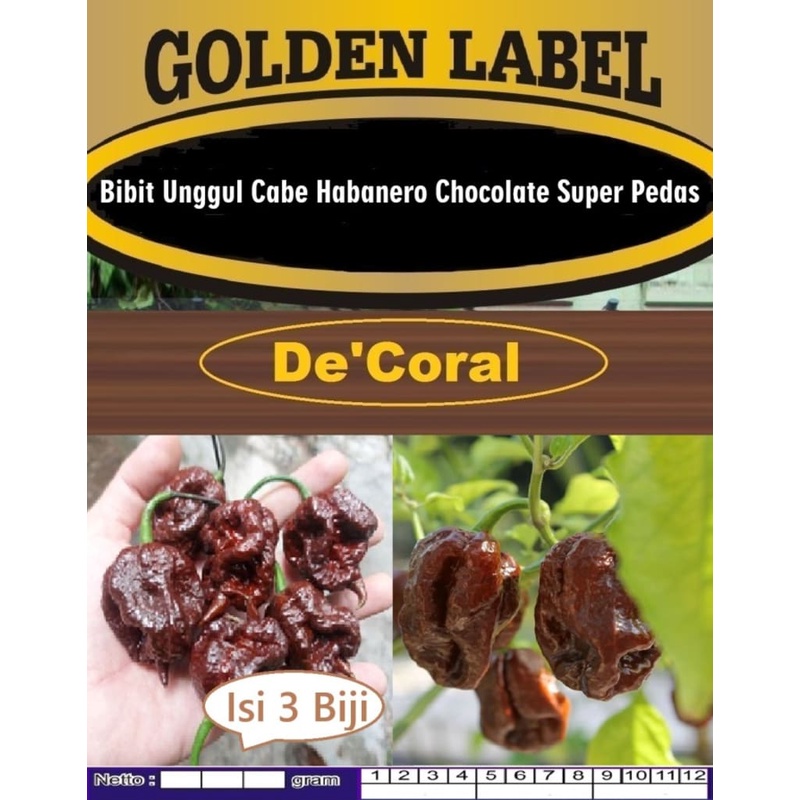 Bibit Unggul Cabe Chocolate Habanero | Biji Benih Cabe Coklat Habanero