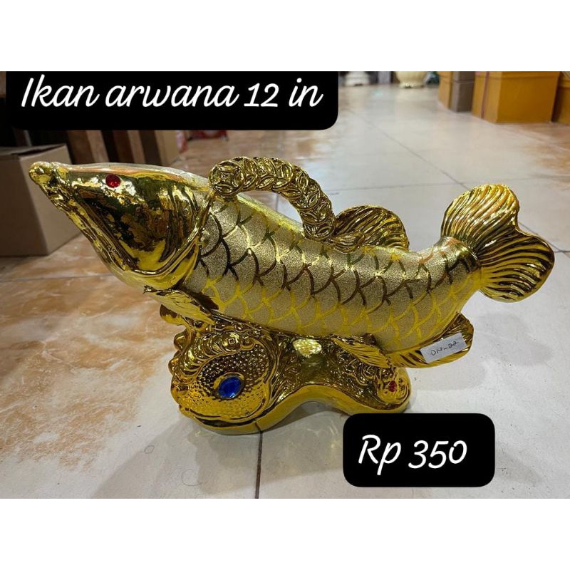 Ikan Arwana 12 inc