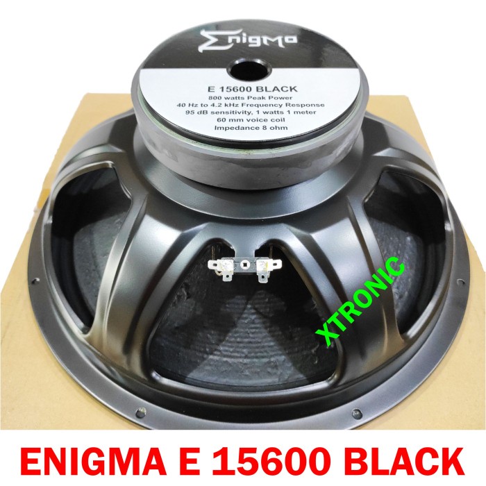 Ready Speaker Enigma 15" inch E 15600 Black E15600 E15600Black