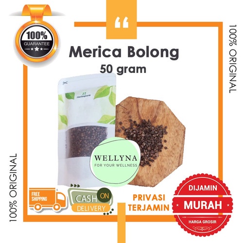 

☘️Wellyna☘️ Merica bolong asli 100% berat 50 gram