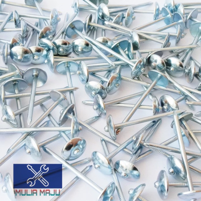 Paku Seng Asbes /Paku Seng /Paku Payung ( Harga Per Dus 10Kg)