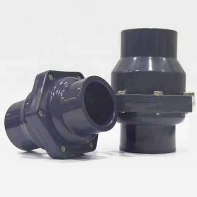 Swing Check Valve Pvc 2" Inch