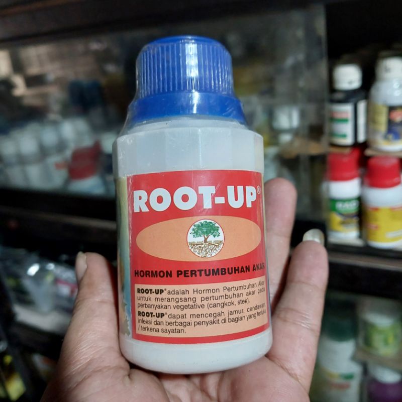 Root -UP perangsang Akar