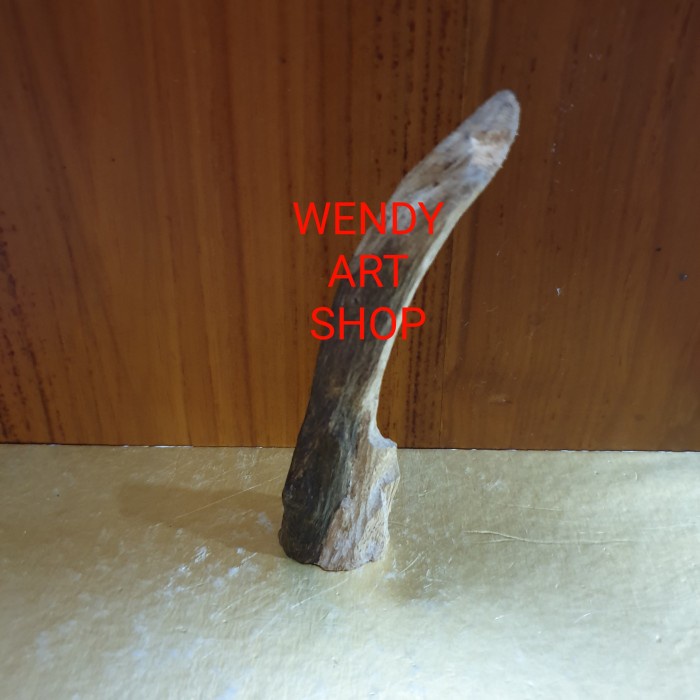 [New] Kayu Gaharu Kalimantan Malinau Untuk Bahan Dupa Bisa Gojek