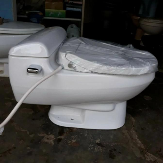 closed toilet kloset duduk toto model kodok tutup cover eco washer