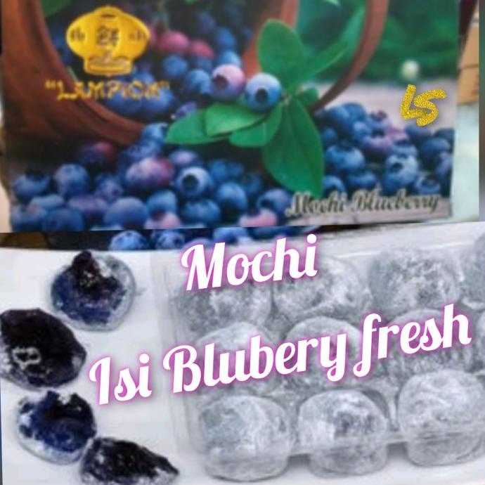 ren mochi lampion kaswari sukabumi mochi bluberi