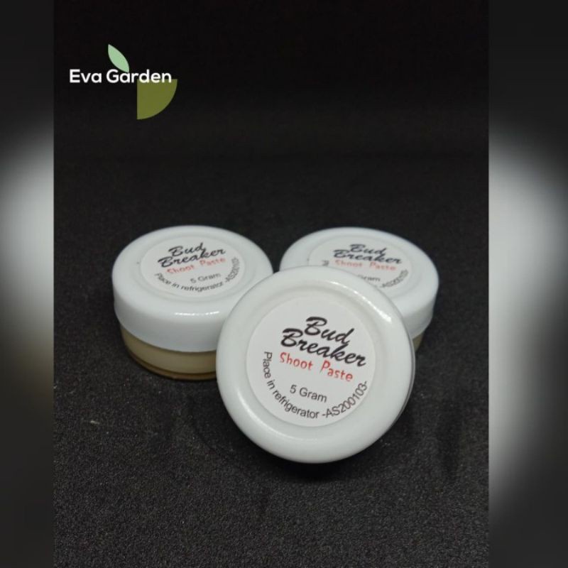 Bud Breaker Salep Penumbuh Tunas Anggrek Pemecah tunas anggrek Isi 5gr