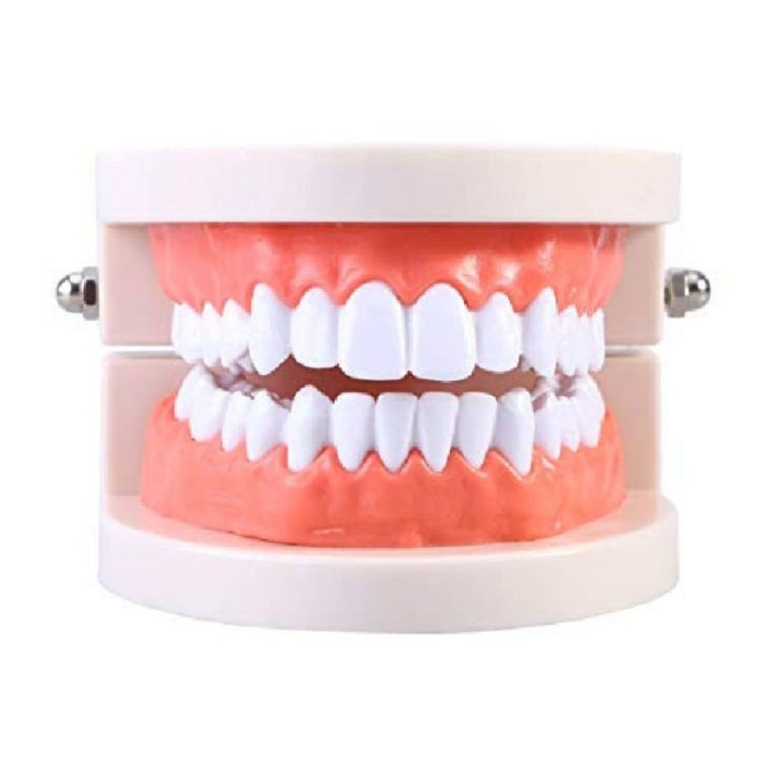 Promo Phantom Gigi Anak