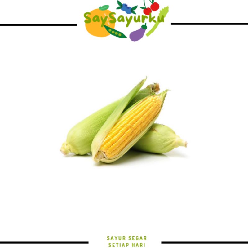 

JAGUNG MANIS PACK