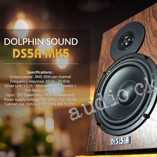 Dolphin Sound Ds 5A Mk5/Ds5A Mk5 Speaker Monitor Flat Home Recording