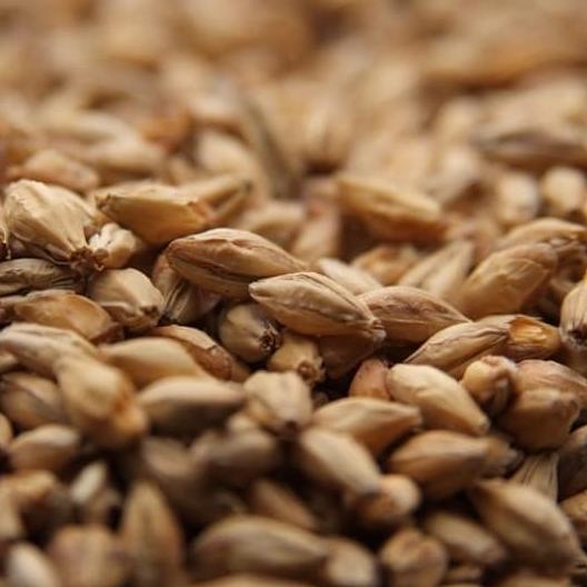 ------] Weyermann Munich Malt Type1 12-18 EBC 1000gr GERMANY