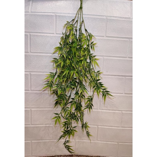 Daun Bambu juntai Tf00469